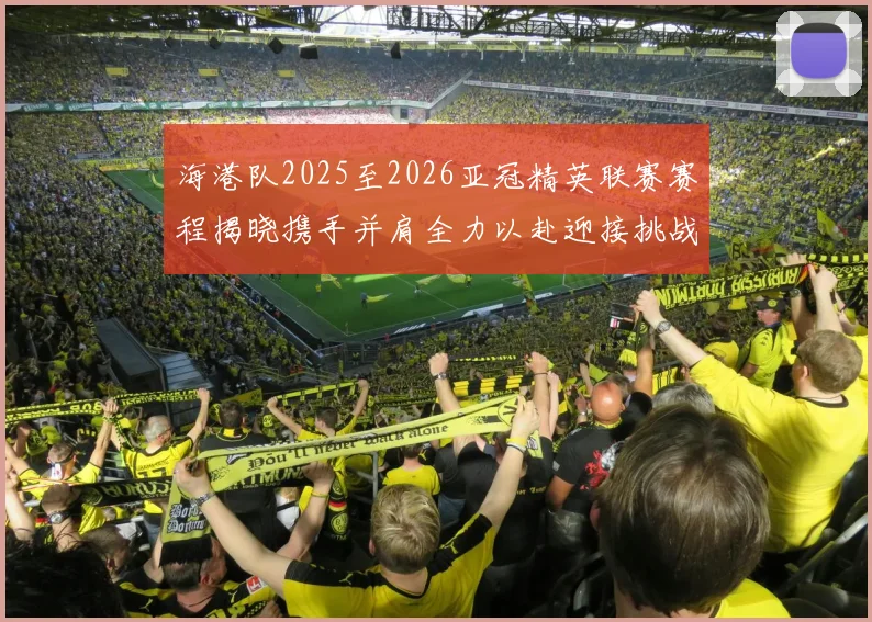 海港队2025至2026亚冠精英联赛赛程揭晓携手并肩全力以赴迎接挑战